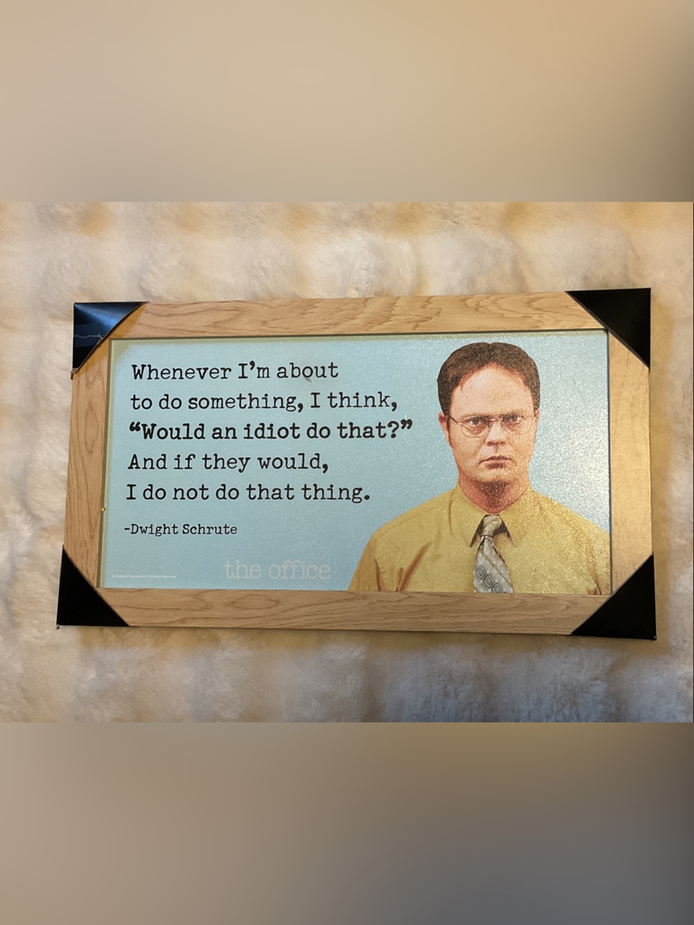 NEW- The Office Dwight Schrute Framed Inspirational Quote Wall Art